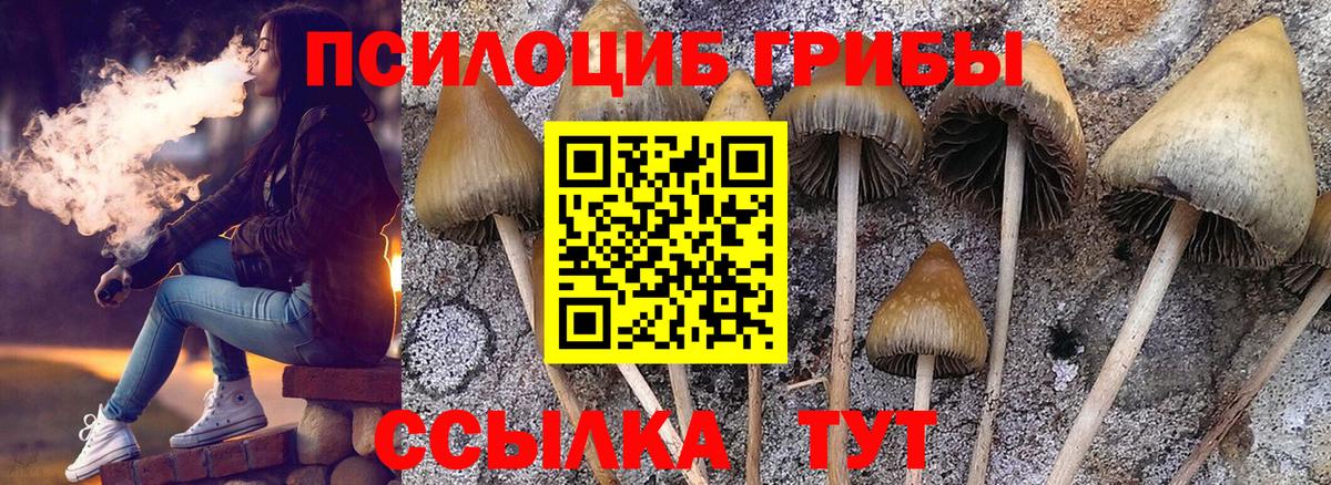 Прокопьевск  Псилоцибиновые грибы мицелий  Вход с VPN  Галлюциногенные грибы Magic Shrooms 